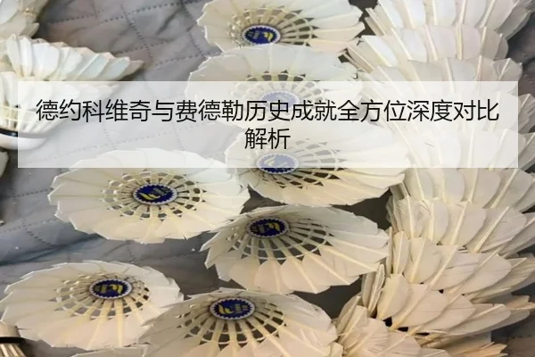 德约科维奇与费德勒历史成就全方位深度对比解析
